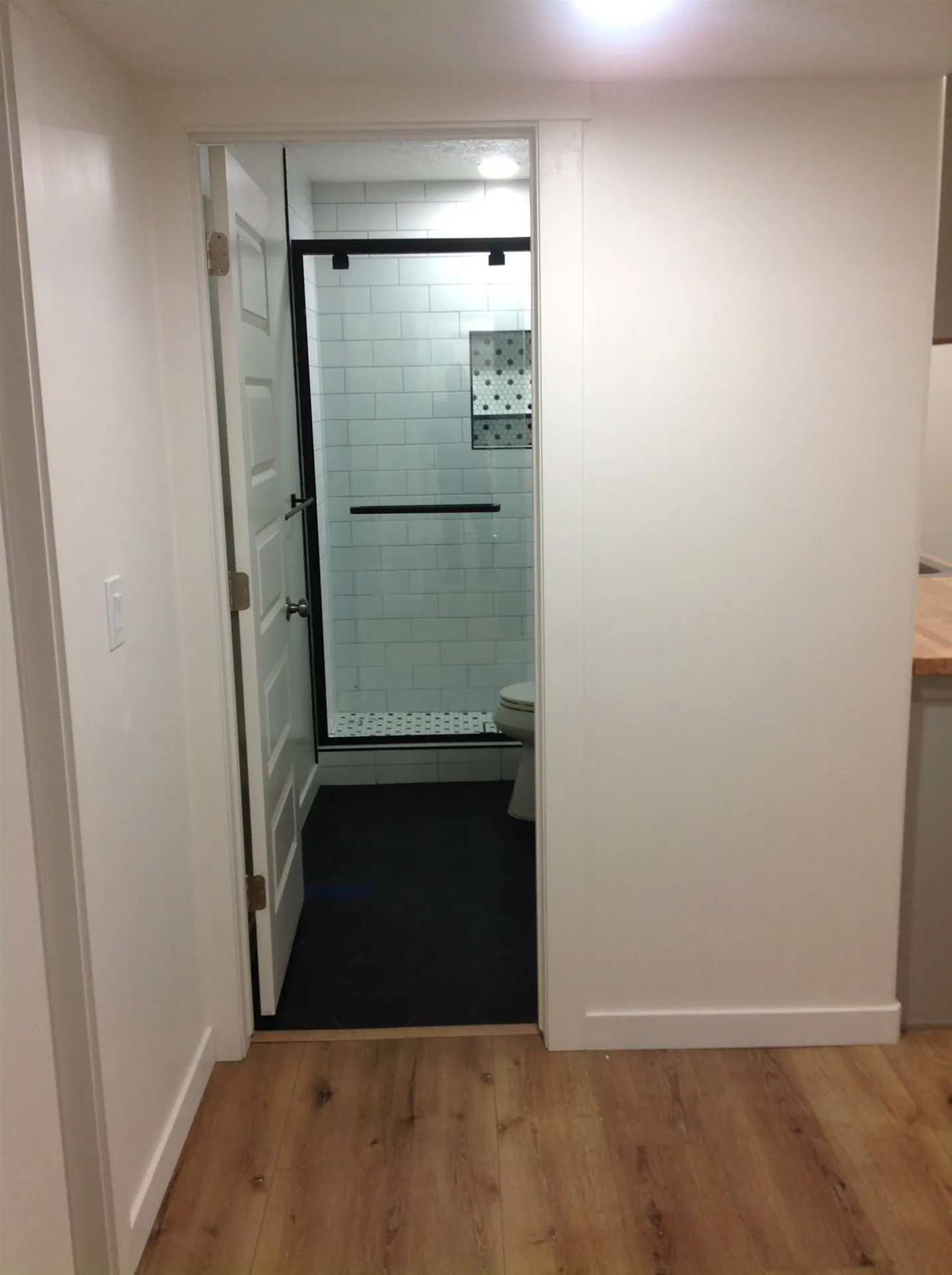 Glass shower enclosure with wood-look plank flooring